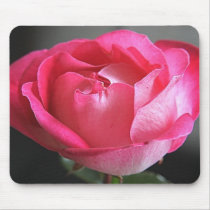 Pink Rose mousepads