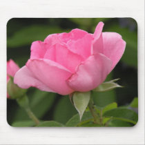 Pink Rose mousepads