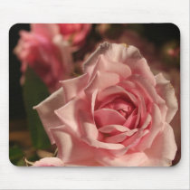Pink Rose mousepads