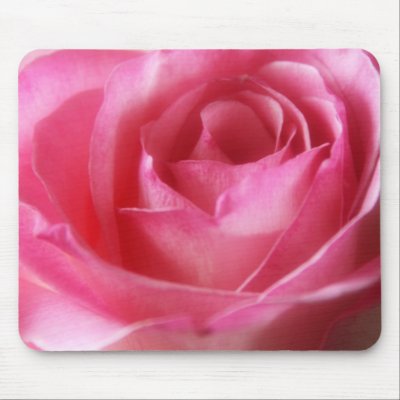 Pink Rose Mousepad by kimboj1