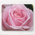 Pink Rose mousepads