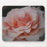 Pink Rose Mousepad