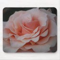 Pink Rose Mousepad