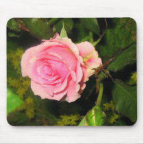 Pink Rose mousepads