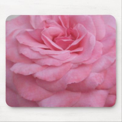 Pink Rose Mouse Mat by ggbythebay