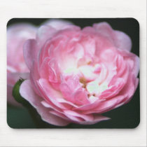 Pink Rose Mousepad! by zolojetto Pink Rose Mousepad!
