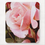 Pink Rose Mousepad
