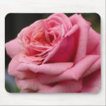 Pink Rose Mousepad