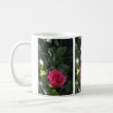 Pink Rose Mug mug