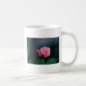 pink rose mugs by cborgwardt pink rose mugs