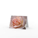 Pink Rose Note Cards card