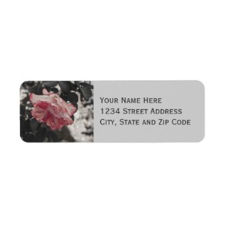 Pink Rose on Black and White Background Photo Custom Return Address Label