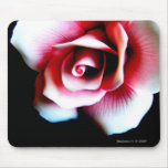 Pink Rose on Black Mousepad
