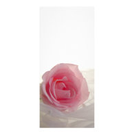 Pink Rose on White Wedding Program Rack Card