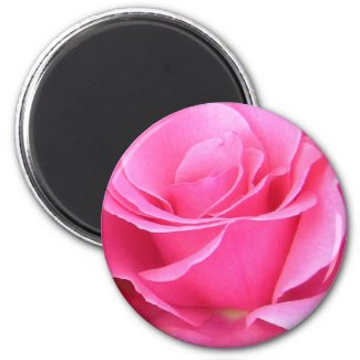 Pink Rose Petals customizable magnet magnet