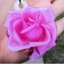Pink Rose Photo Sculpture