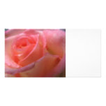 Pink Rose Photo Greeting Card