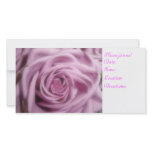 pink rose photo cards