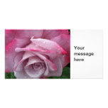 Pink Rose Photocard Custom Photo Card