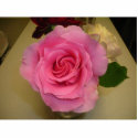 PINK ROSE (PHOTOSCULPTURE) by minx267 PINK ROSE (PHOTOSCULPTURE)