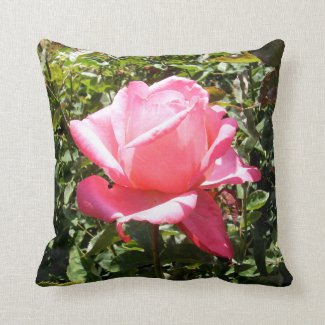 Pink Rose Pillow