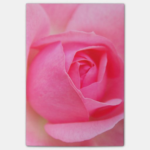 Pink rose postit® notes Zazzle