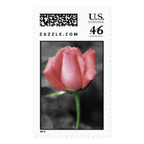 pink rose postage