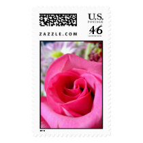 *Pink Rose* postage
