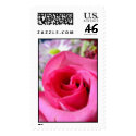 *Pink Rose* postage by Vontese *Pink Rose* postage
