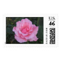 pink rose postage postage by DonnaGrayson pink rose postage postage
