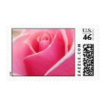 Pink Rose stamp
