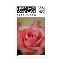 Pink Rose stamps
