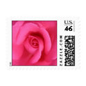 Pink Rose postage by SweetRascal Pink Rose postage
