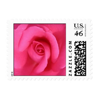 Pink Rose stamp