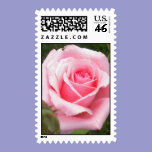 Pink Rose Postage postage