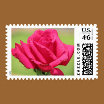 Pink Rose postage