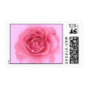 Pink Rose postage