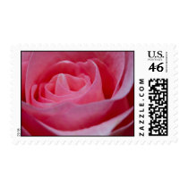 Pink Rose stamps