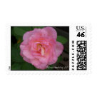  - Pink Rose postage is great for any occasion.  Also available in matching stickers perfect for sealing your envelopes..  Photography by Patrice Vandehey: Sizes 