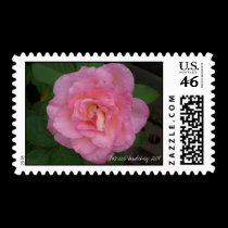 Pink Rose Postage postage