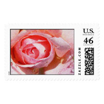 Pink Rose postage