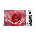 Pink Rose postage