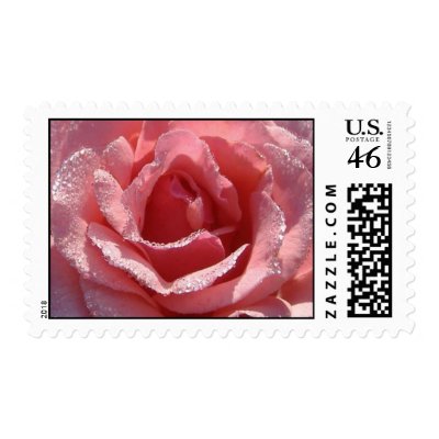Pink Rose Postage Stamps