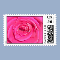 Pink Rose Postage stamps