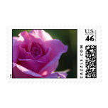 Pink Rose Postage
