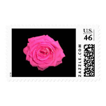 Pink Rose Postage