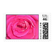 Pink Rose Postage