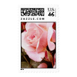 Pink Rose Postage
