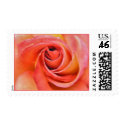 Pink Rose Postage Stamp by agjanet Pink Rose Postage Stamp
