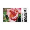 Pink Rose - postage stamps
